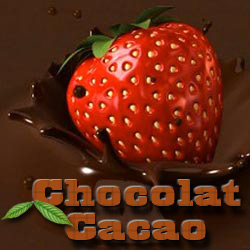 Guide du Chocolat