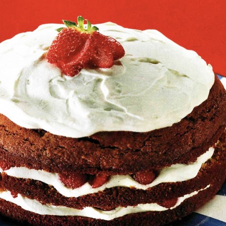 Recette du Gâteau éponge chocolat au yaourt et aux fraises